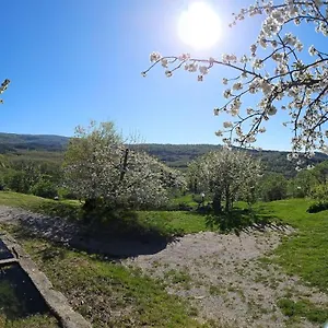  Appartamento A Surrounded By Greenery - La Piaggia -
