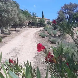 Stazzo Su Niberalzu Casa di campagna Monti